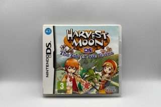 Harvest Moon DS: The Tale of Two Towns(DS)