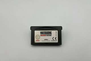 Wakeboarding Unleashed with Shaun Murray(GB Advance)