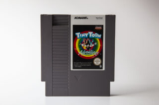 Tiny Toon Adventures(NES: Løse spil)