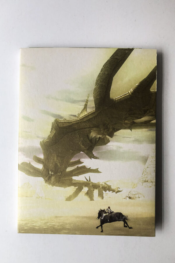 Shadow of the Colossus(PS2) - Image 4