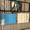 Wing Commander Prophecy(PC Big Box) - Image 7