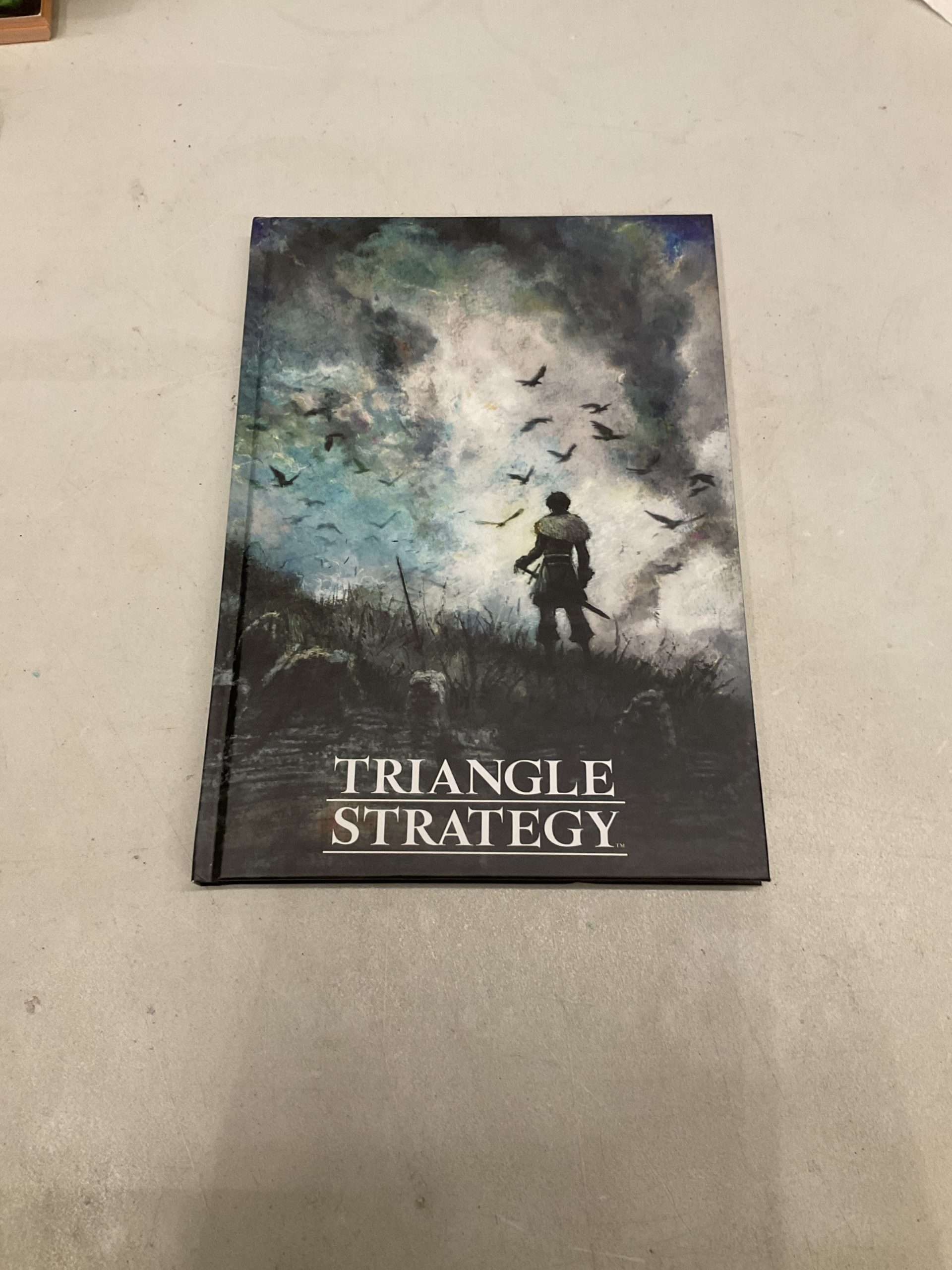 Triangle Strategy Notesbog - LÆS BESKRIVELSE